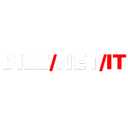 BIZZNET IT GmbH
