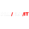 BIZZNET IT GmbH Logo