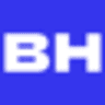 BLUEHOUSE real & relevant Logo
