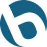 Bluevista Logo
