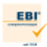 EBI Computerlösungen Logo