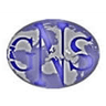 Global Network Systems Logo