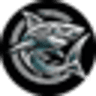 HAI Strategies Logo