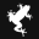 Quantenfrosch
