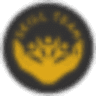 Skill TEAM Logo
