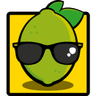 Sunlime Web Innovations Logo