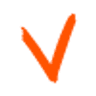 vAudience.ai Logo