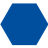 WBS IT-Service GmbH Logo