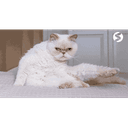 SEOversiert (45digital Marketing GmbH)