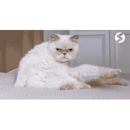 SEOversiert (45digital Marketing GmbH)