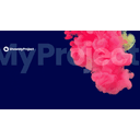ShowMyProject Digital Agentur Basel